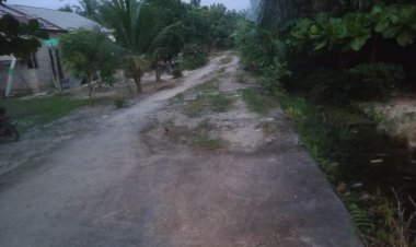 Kades Teluk Berembun Diduga Tutupi ADD Proyek Semenisasi, Kagiatan Tanpa Plang