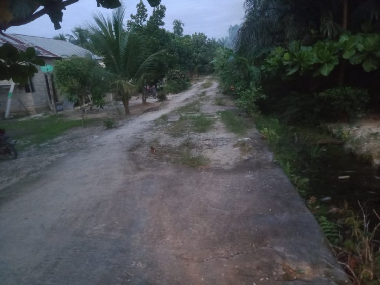Kades Teluk Berembun Diduga Tutupi ADD Proyek Semenisasi, Kagiatan Tanpa Plang