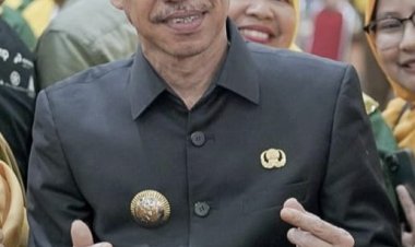 Terkendala Kebutuhan Jaringan Telekomunikasi, Pemkab Rohil Hadirkan Tower Seluler