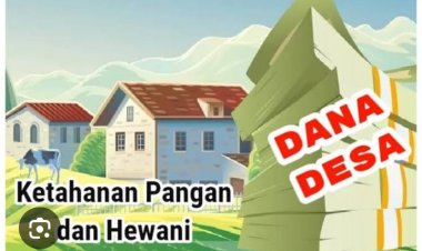 Mantan Kades Koto Kari Diduga Mark-Up Pembelian Sapi DD Tahun 2022