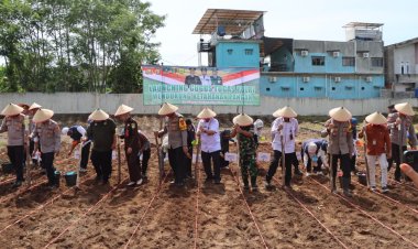 Dukung Ketahanan Pangan, Polres Tanggamus Tanam Jagung Unggul di Areal Satpas SIM