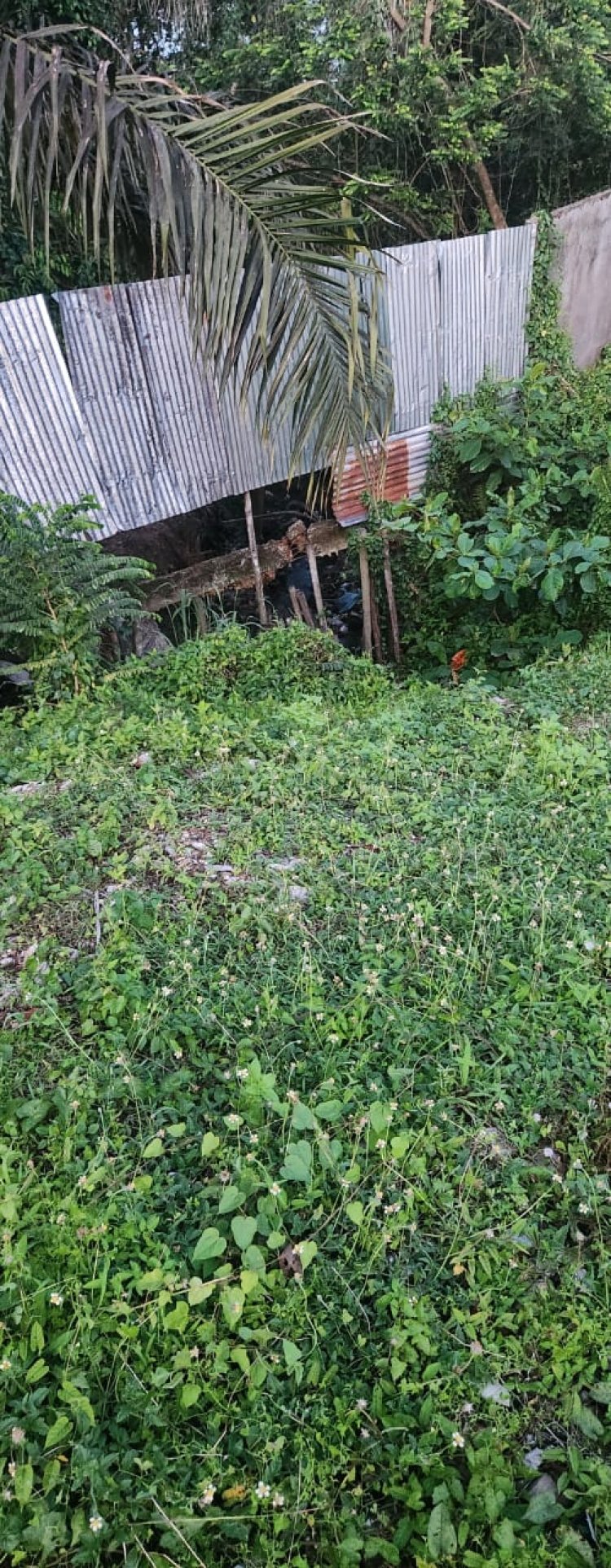 Parit Tersumbat, Pagar Perumahan Roboh. Ini Tanggapan Kabid SDA Kota Pekanbaru