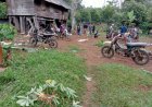 Kawanan Gajah di Tanggamus, Tewaskan Seorang Warga Lampung Barat