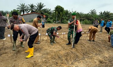 Wilkum Polsek Bagan Sinembah Laksanakan Penanaman Jagung 1 Juta Hektar Secara Serentak