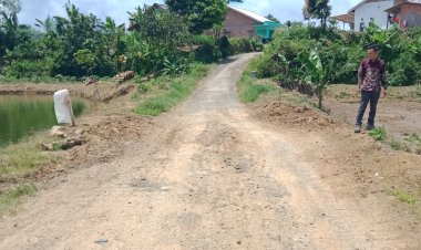 Jalan Kabupaten di Pekon Tugu Mulya, Butuh Perhatian Khusus dari Dinas PUPR