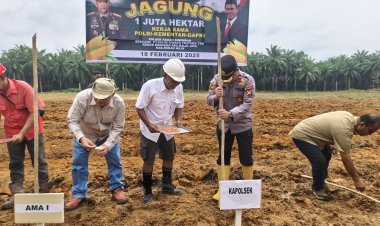 Polsek Bagan Sinembah Bersama PT. Salim Ivomas Pratama Tbk, Tanam Jagung 1 Ha Program Ketapang