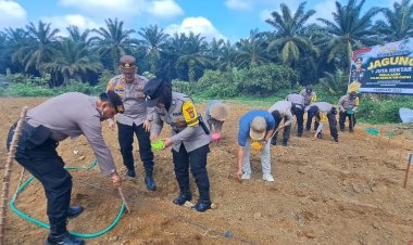 Tanam Jagung 1 Juta Hektar, Polsek Bagan Sinembah Dukung Ketapang