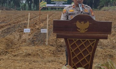 Dukung Program Ketapang, Polsek Bagan Sinembah Tanam Jangung Bersama PT CTP