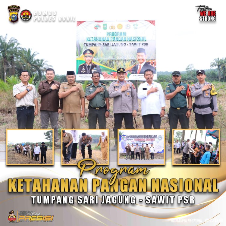 Kapolres Rohil Tumpangsari Tanaman Jagung di Lahan Sawit, Dukung Ketapang Nasional