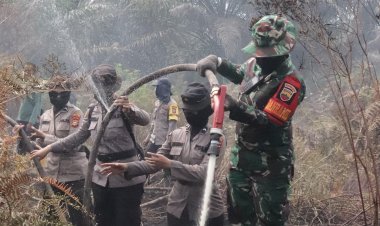 Antisipasi Kebakaran Lebih Luas, Srikandi Danramil dan Polwan Polres Rohil lkut Padamkan Api
