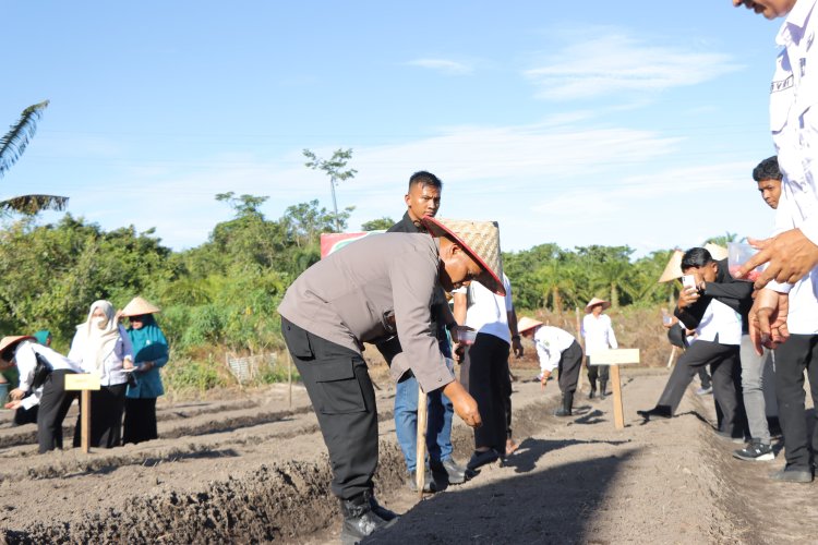 Dukung Astacita Presiden RI, Polres dan Polsek Jajaran Gelar Tanam Jagung Serentak