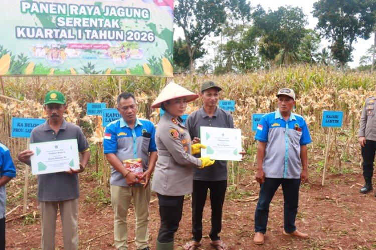 Dukung Ketahanan Pangan Nasional, Kapolres Lamtim Dampingi Kapolda Lampung Panen Raya Jagung Serentak Kuartal IV 2025