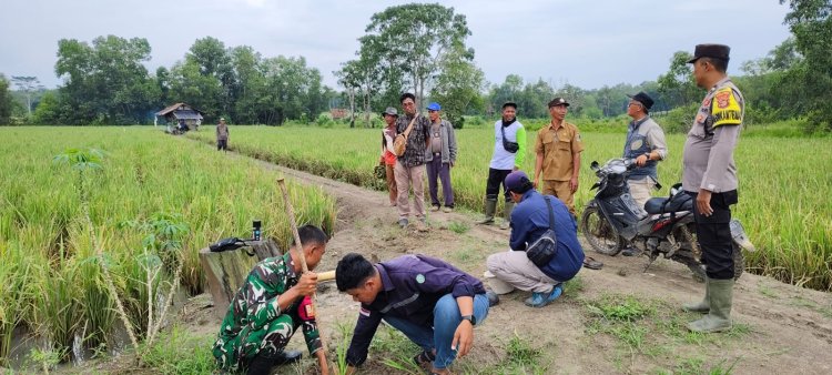 Bhabinkamtibmas Polsek Way Jepara Dampingi Survei Lokasi Penanggulangan Konflik Gajah Liar di Desa Braja Asri