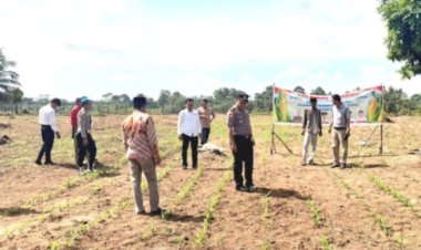 Kapolsek Cerenti Pastikan Program Ketahanan Pangan Desa Sikakak Berjalan Optimal