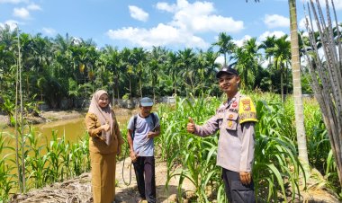 Sinergi dengan Pemerintah Kampung, Bhabinkamtibmas Gabung Makmur Lakukan Penyemprotan Hama Ulat Tanaman Jagung