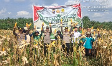 Sukseskan Asta Cita Presiden, Kompol RZ Siregar Pimpin Panen Raya Jagung Pipil di Desa Gunung Mulya