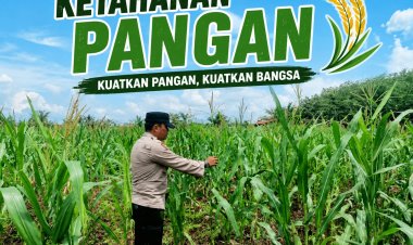 Bhabinkamtibmas Desa Pandau Jaya Lakukan Pengecekan Tanaman Jagung, Dukung Suksesnya Program Ketahanan Pangan Nasional