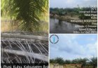 2 Desa "Dijajah", Oknum Kades dan APH Diduga Muluskan Usaha Kebun Kelapa Sawit Aw