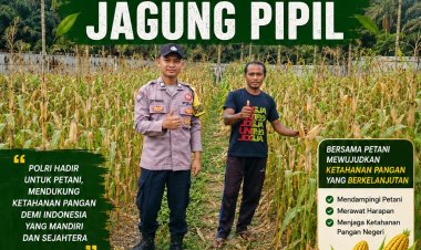 Bhabinkamtibmas Kampung Gabung Makmur Laksanakan Pembinaan dan Pengecekan Ketahanan Pangan Jagung Pipil