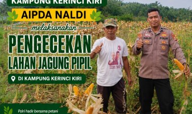 Bhabinkamtibmas Kampung Kerinci Kanan Lakukan Pengecekan Lahan Jagung Pipil