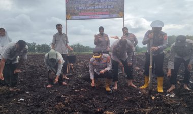 Sinergi Ketahanan Pangan, Kompol Deni Afrial Pimpin Penanaman Jagung Pipil di Desa Baru