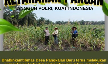 Dukung Swasembada Pangan 2026, Polsek Siak Hulu Cek Perkembangan 10 Hektar Lahan Jagung Pipil di Desa Pangkalan Baru