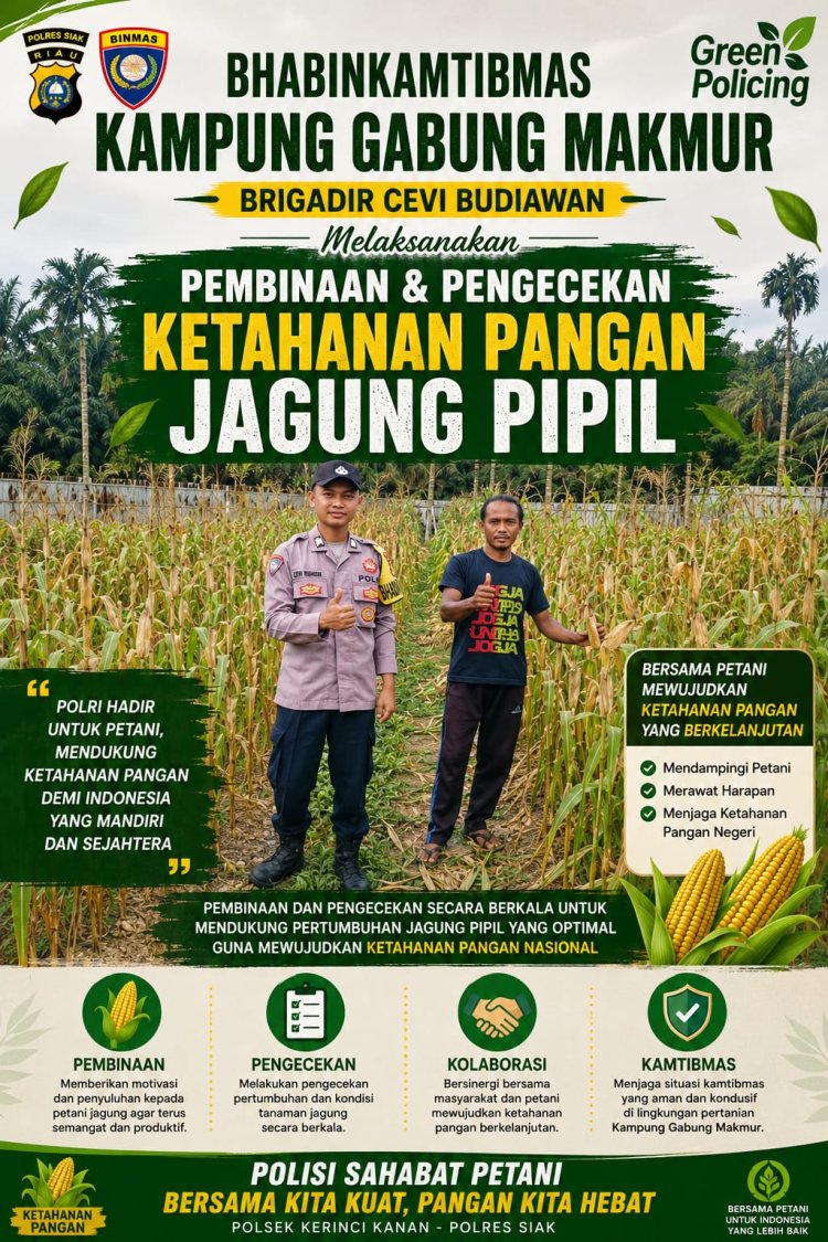 Bhabinkamtibmas Kampung Gabung Makmur Laksanakan Pembinaan dan Pengecekan Ketahanan Pangan Jagung Pipil