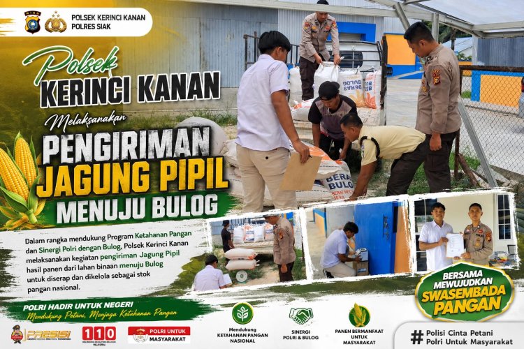 Polsek Kerinci Kanan Laksanakan Pengiriman Jagung Pipil ke BULOG
