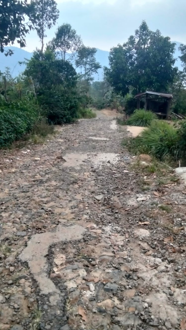 Jalan Utama Pemangku Talang Kinjar Rusak Parah, Warga Harapkan Perhatian Pemkab Lampung Barat